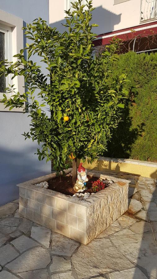 Cosy Villa Near The Beach Zadar Exterior photo